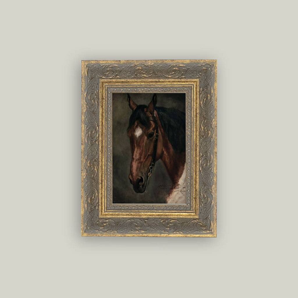 Petal Lane | Framed Antique Art, Assorted Styles & Sizes