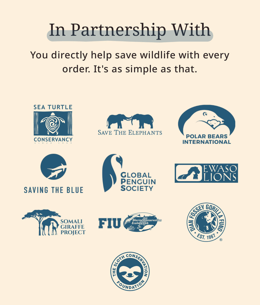 Fahlo | Animal Tracking Bracelet, Assorted Animals & Colors