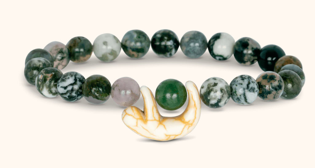 Fahlo | Animal Tracking Bracelet, Assorted Animals & Colors