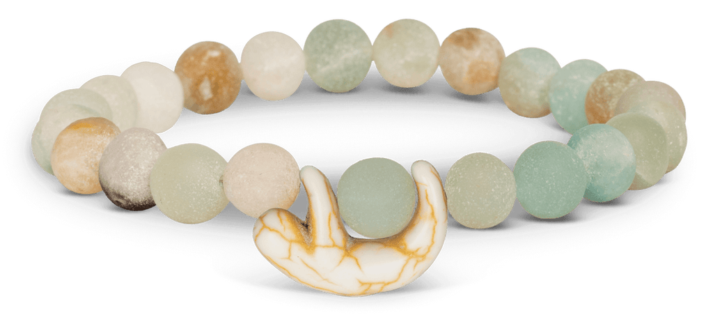 Fahlo | Animal Tracking Bracelet, Assorted Animals & Colors