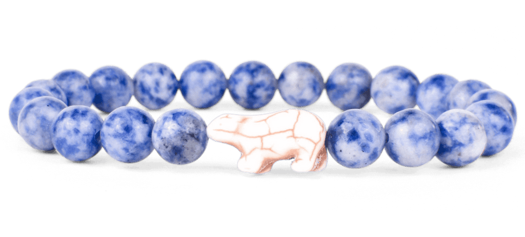 Fahlo | Animal Tracking Bracelet, Assorted Animals & Colors