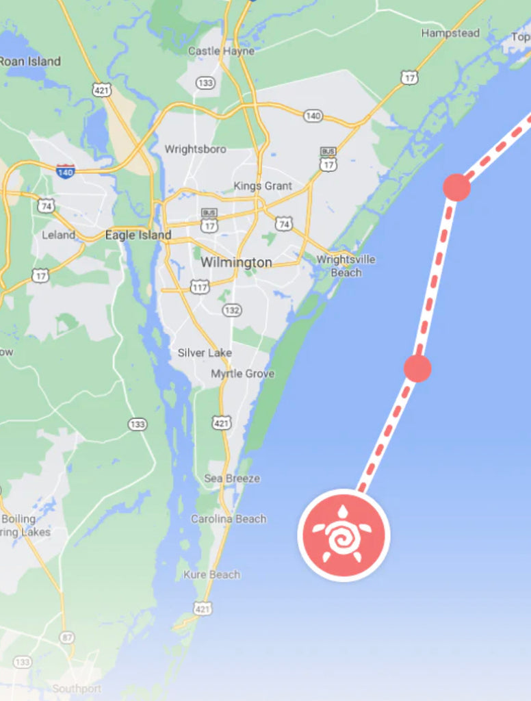 Fahlo | Animal Tracking Bracelet, Assorted Animals & Colors