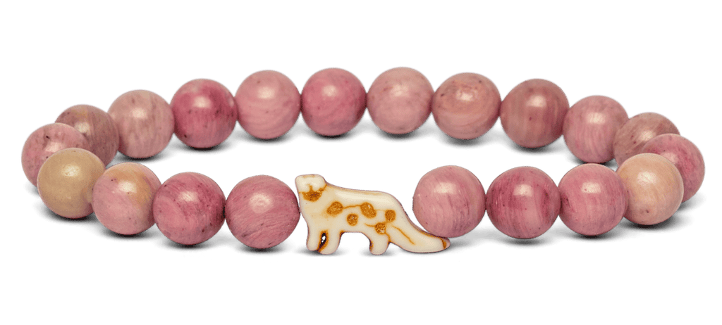 Fahlo | Animal Tracking Bracelet, Assorted Animals & Colors