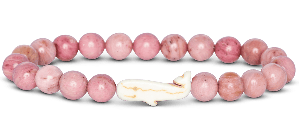 Fahlo | Animal Tracking Bracelet, Assorted Animals & Colors