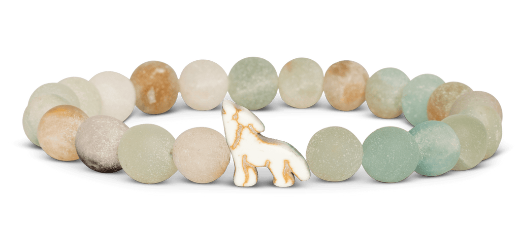 Fahlo | Animal Tracking Bracelet, Assorted Animals & Colors