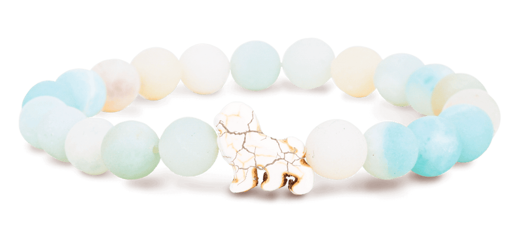 Fahlo | Animal Tracking Bracelet, Assorted Animals & Colors