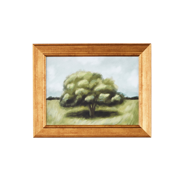 Mud Pie | Landscape Framed Art, Assorted Styles